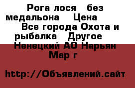 Рога лося , без медальона. › Цена ­ 15 000 - Все города Охота и рыбалка » Другое   . Ненецкий АО,Нарьян-Мар г.